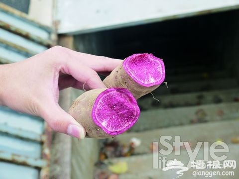 享受地道农家菜 京郊美食全攻略[墙根网]