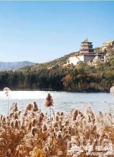 城中徒步 正在流行