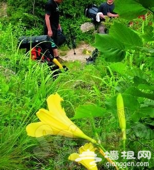 走不寻常路看不寻常景