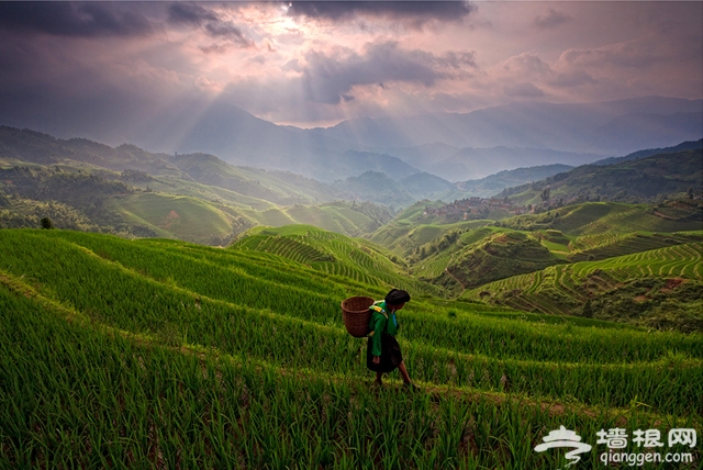 世界各地仙境般的早晨[墙根网]