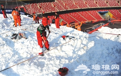鸟巢搭建最高滑雪道