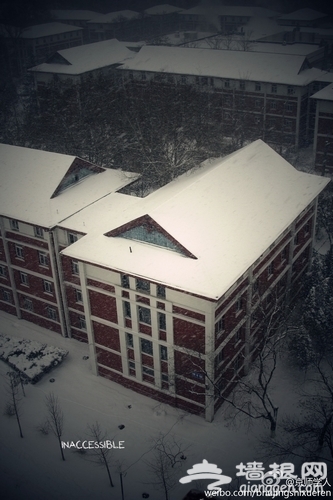 北京师范大学初雪(图片：)