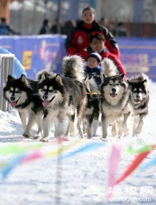 丰台欢乐水魔方2012首届雪花魔幻狂欢节[墙根网]