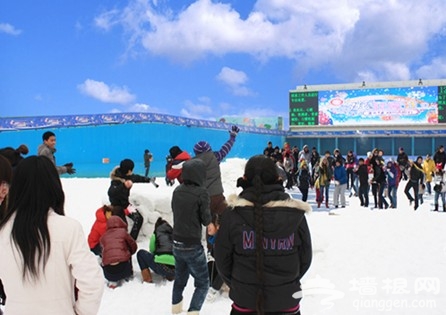 丰台欢乐水魔方2012首届雪花魔幻狂欢节[墙根网]