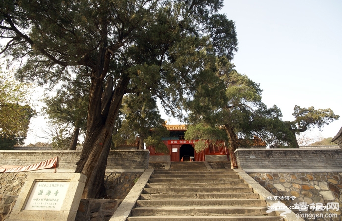 北京法海寺[墙根网]
