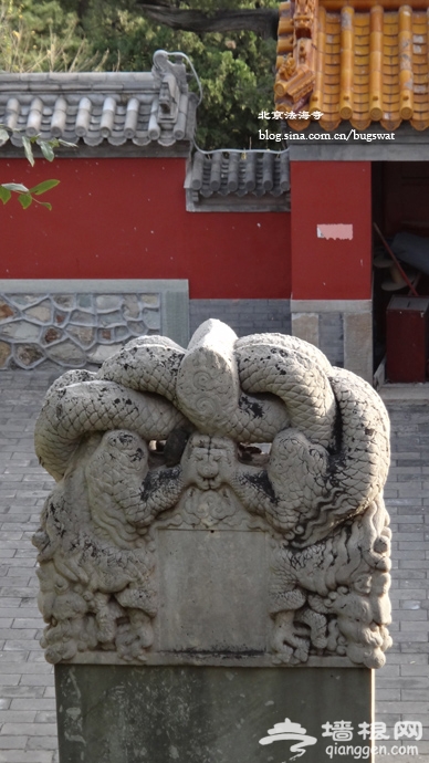 北京法海寺[墙根网]