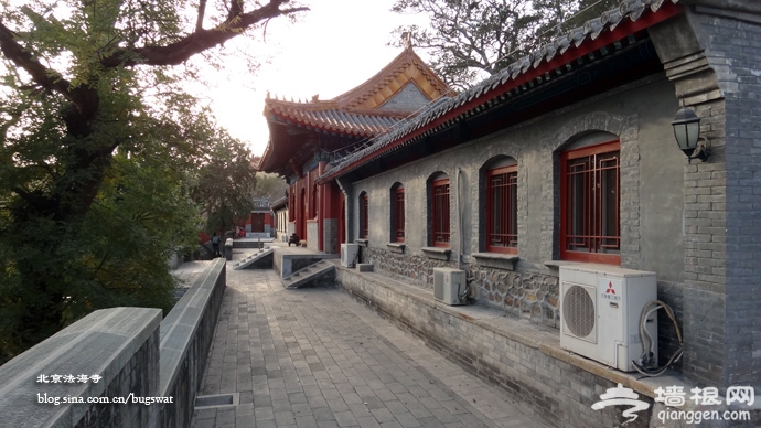 北京法海寺[墙根网]
