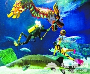 海洋馆上演国内最大规模的“龙·鱼文化展”