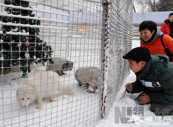 北京玉渊潭"冰雪乐园"让游客尽情赏玩[墙根网]