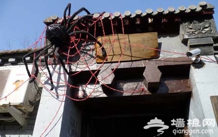 神奇盘丝洞 寻秘火焰羊排[墙根网]