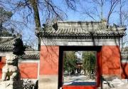 漫步北京胡同 落叶里的温暖记忆