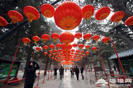 北京：颐和园“春节宫市”迎龙年[墙根网]