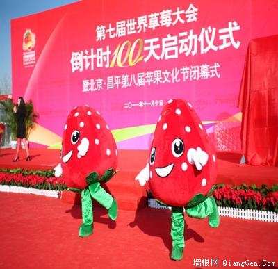 昌平第七届世界草莓大会专题