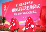 昌平第七届世界草莓大会专题