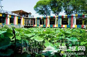 精致的北京“素食特色”餐厅推荐[墙根网]