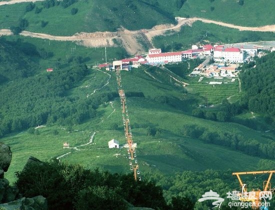 绿意美景(摄影：金华)