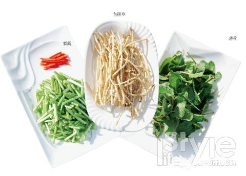 藜蒿、薄荷、鱼腥草