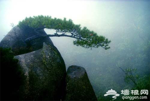 阳春三月 扬州婺源武汉三地旅游攻略[墙根网]