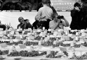 昌平世界草莓大会 草莓打擂