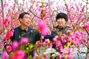 寒冬绿野种植园 花海耕耘