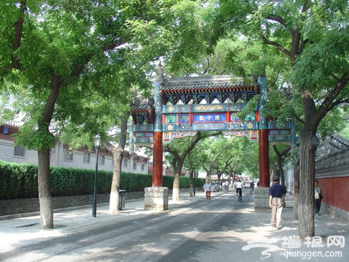 北京故事：国子监的“吉祥槐”和“罗锅槐”