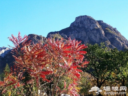 站在北京百花山上看世界[墙根网]