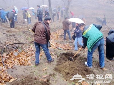 北京红螺慧缘谷景区万亩山地造林活动正式启动
