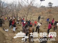 北京红螺慧缘谷景区万亩山地造林活动正式启动[墙根网]