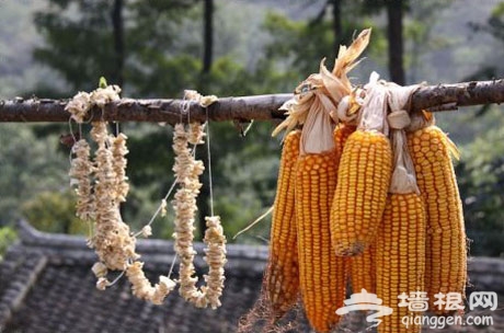 春风和煦百花开 京郊踏青住宿指南