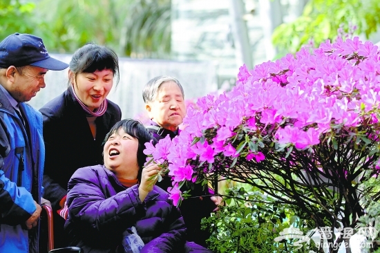 北京植物园举办芳香植物展览[墙根网]