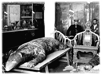 “清宁宫怪兽”老照片现身 网友疑为“镇殿侯”[墙根网]