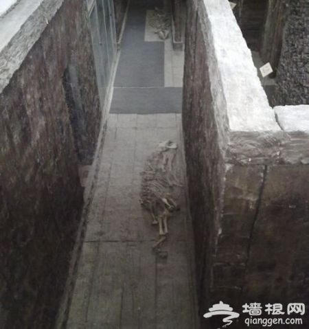 黄肠题凑 黄肠题凑