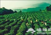 成都始发 春游踏青好地儿好玩方式推荐
