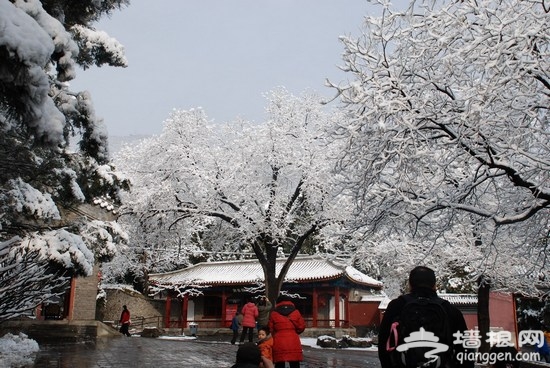 雪后香山