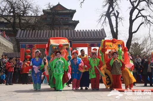 第五届北京明城墙梅花文化节本周开幕