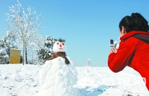 京城三月飞雪 满枝头[墙根网]