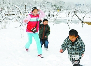 京城三月飞雪 满枝头[墙根网]