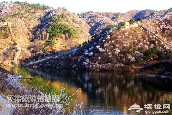 黄花城水长城清明节旅游系列活动