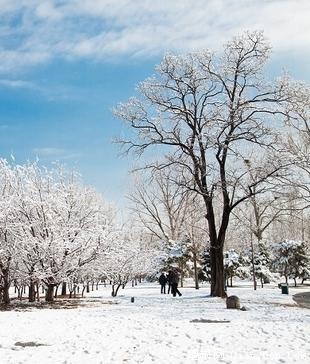 玉渊潭春雪(摄影作品)