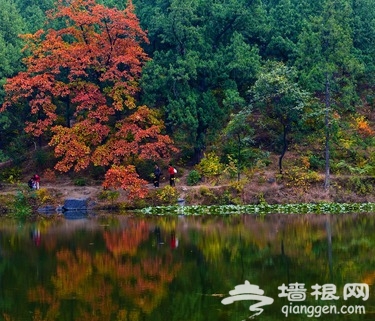2012北京踏青全攻略[墙根网]