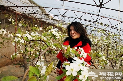 忍不住的心动 昌平南口农场里逍遥游