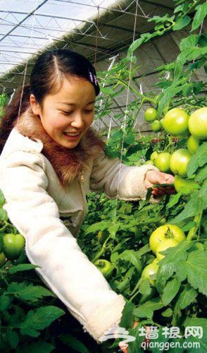 忍不住的心动 昌平南口农场里逍遥游