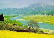 中国十大最美油菜花海