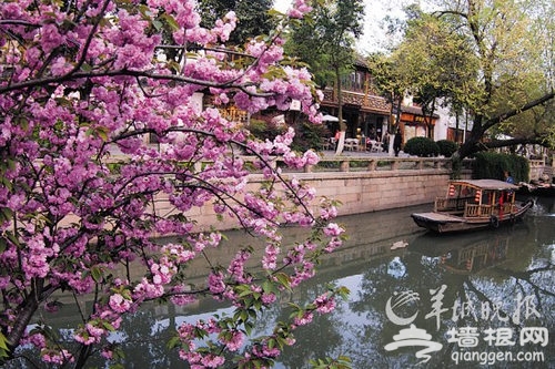 静赏江南春天美景 行家教你如何拍春“摄”[墙根网]