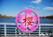 2012年玉渊潭樱花节将延迟