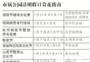 玉渊潭樱花比去年晚一周