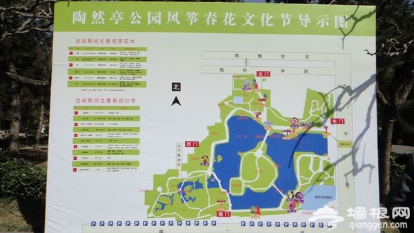 风筝春花文化节 潍坊风筝“飞”进陶然亭[墙根网]