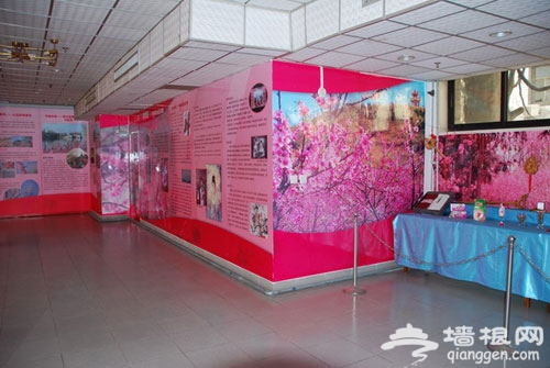 2012清明节放假 北京踏青郊游活动手册