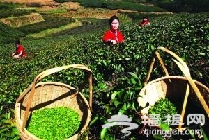 多彩四月 特色节日丰富你的休闲生活
