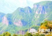 赏花观兽可去京西黄草梁风景区